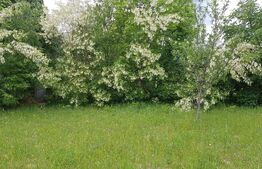 Teren intravilan de 1000 mp, priveliste superba, utilitati pe teren, curent mono si trifazic zona Predelut -Bran