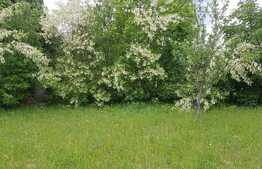 Teren intravilan de 1000 mp, priveliste superba, utilitati pe teren, curent mono si trifazic zona Predelut -Bran