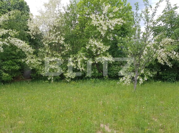 Teren de vânzare Exterior Vest - 76941TV | BLITZ Brașov | Poza6