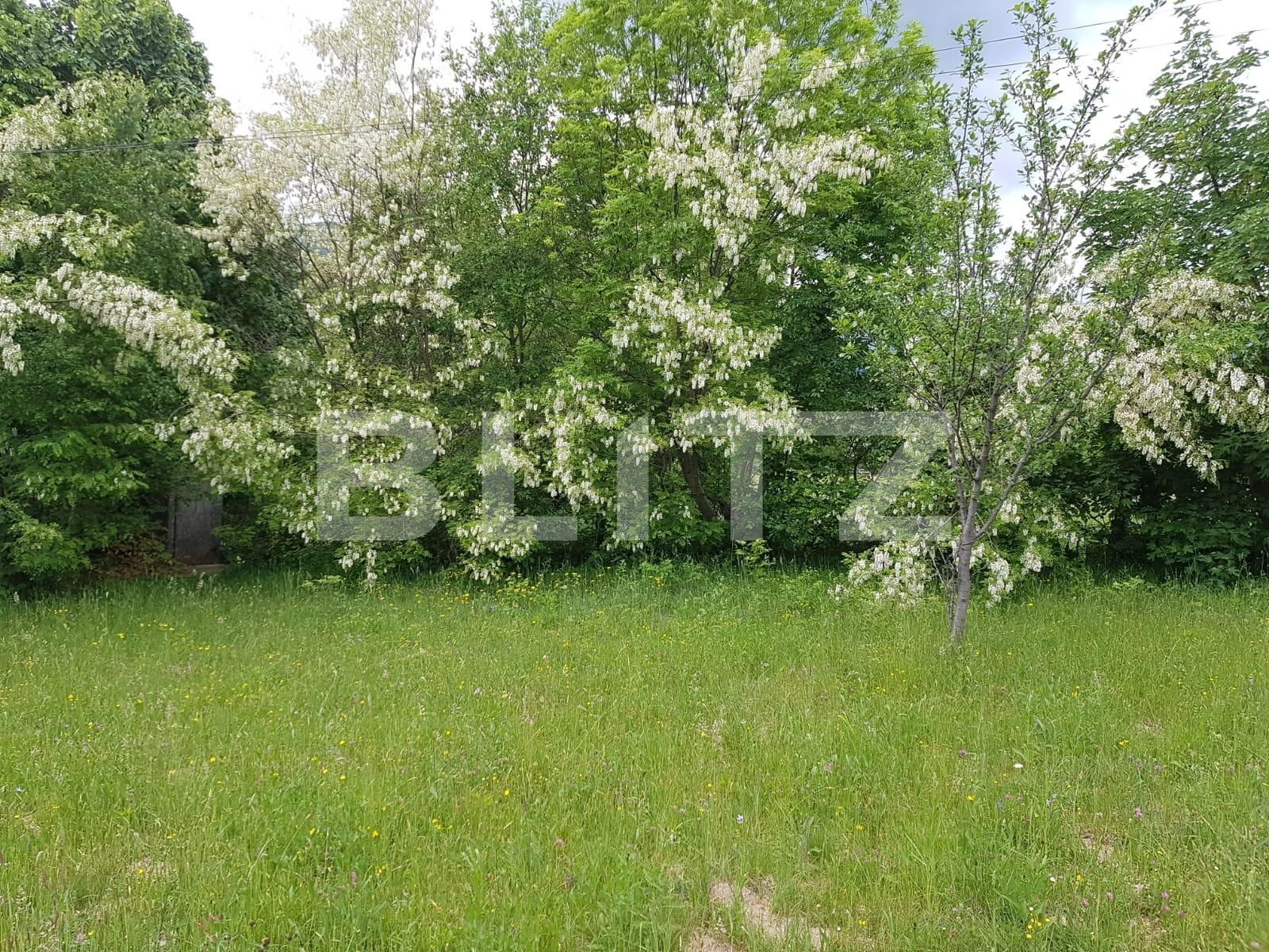 Teren de vânzare Exterior Vest - 76941TV | BLITZ Brașov | Poza3