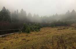 Oferta! Teren intravilan, 3000 mp, Poiana Angelescu, Sacele, comision 0%