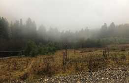 Oferta! Teren intravilan, 3000 mp, Poiana Angelescu, Sacele, comision 0%