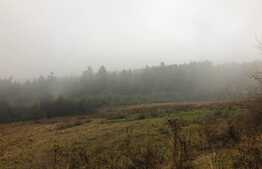 Oferta! Teren intravilan, 3000 mp, Poiana Angelescu, Sacele, comision 0%