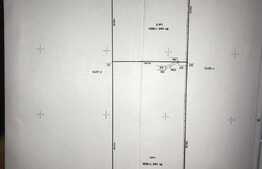 Oferta! Teren intravilan, 3000 mp, Poiana Angelescu, Sacele, comision 0%