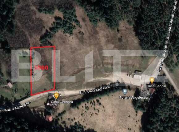 Teren de vânzare Sacele - 76956TV | BLITZ Brașov | Poza1
