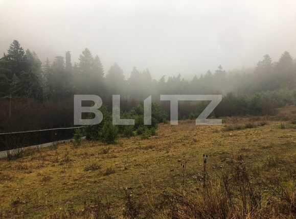 Teren de vânzare Sacele - 76956TV | BLITZ Brașov | Poza2