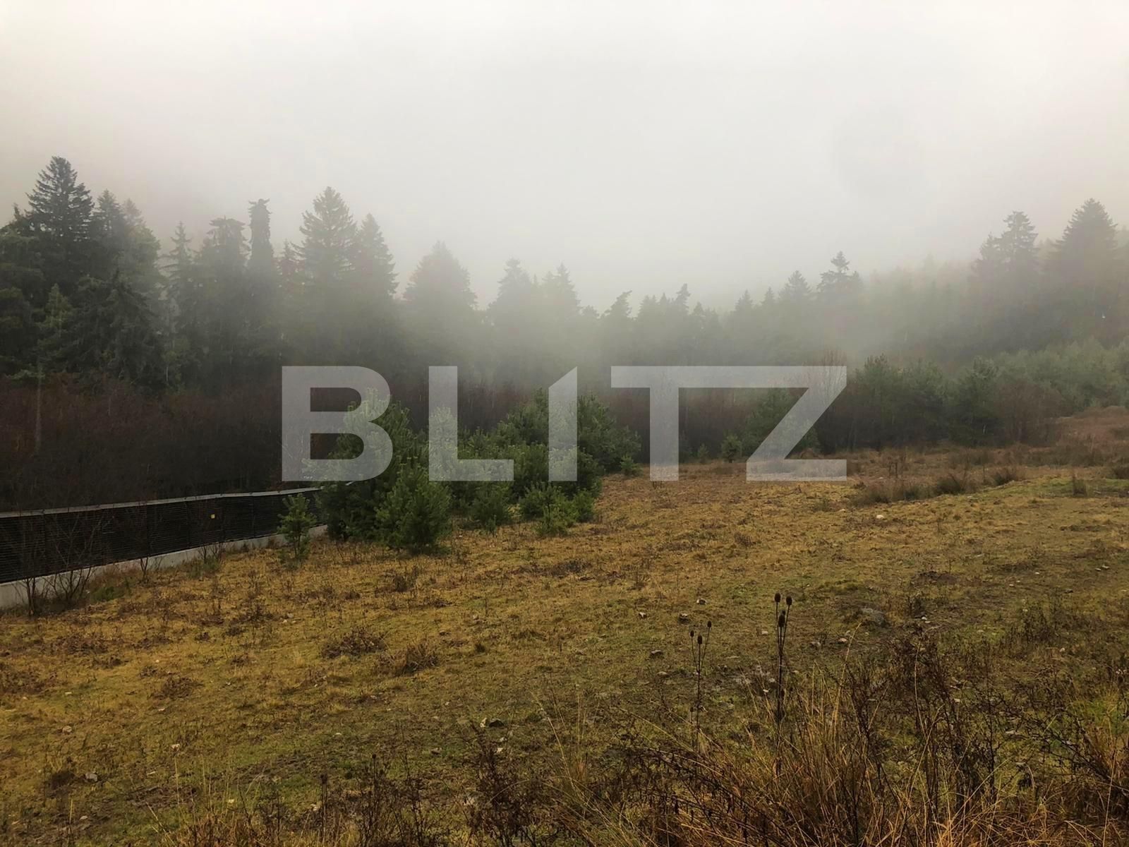 Teren de vânzare Sacele - 76956TV | BLITZ Brașov | Poza2