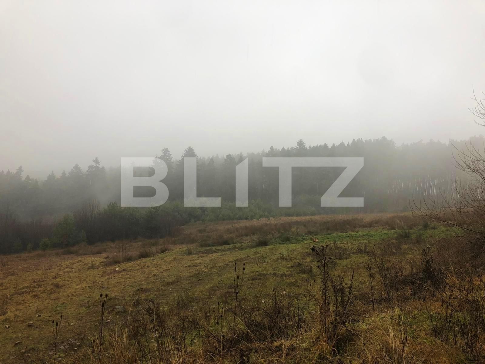 Teren de vânzare Sacele - 76956TV | BLITZ Brașov | Poza4