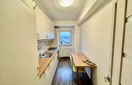 Apartament decomandat, 2 camere, zona strazii Balastierei!