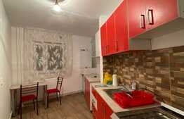 Apartament cu 2 camere, 55 mp, decomandat, zona Big Manastur