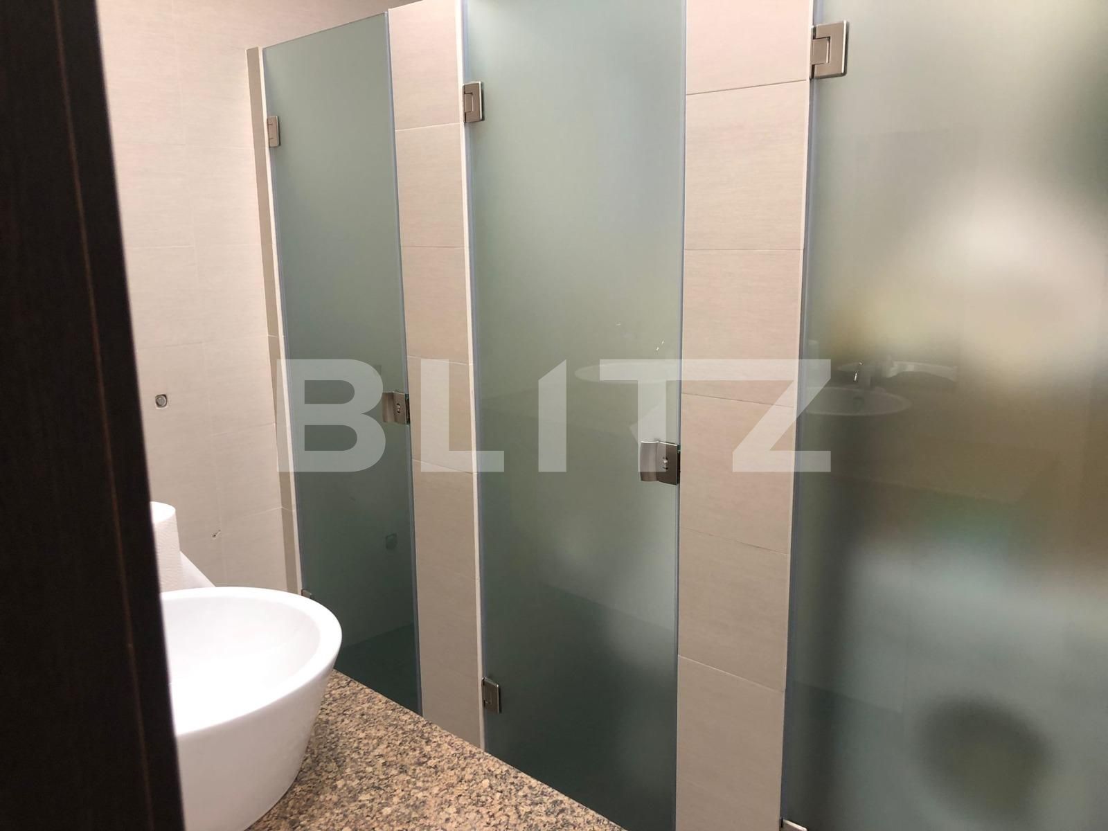 Spațiu birouri de închiriat Grigorescu - 76984SIB | BLITZ Cluj-Napoca | Poza9
