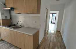 Apartament de 3 camere, 60 mp gradina, parcare, zona Sub Cetate!