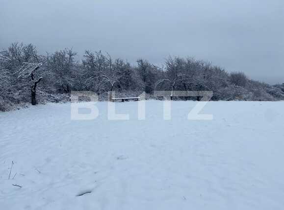 Teren de vânzare Feleacu - 77017TV | BLITZ Cluj-Napoca | Poza4