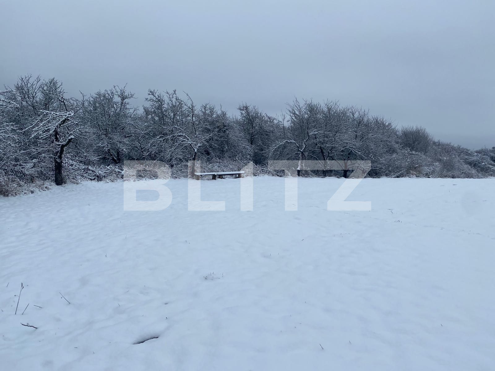 Teren de vânzare Feleacu - 77017TV | BLITZ Cluj-Napoca | Poza4