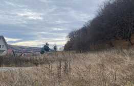 Parcela de 867 mp teren construibil in Popesti