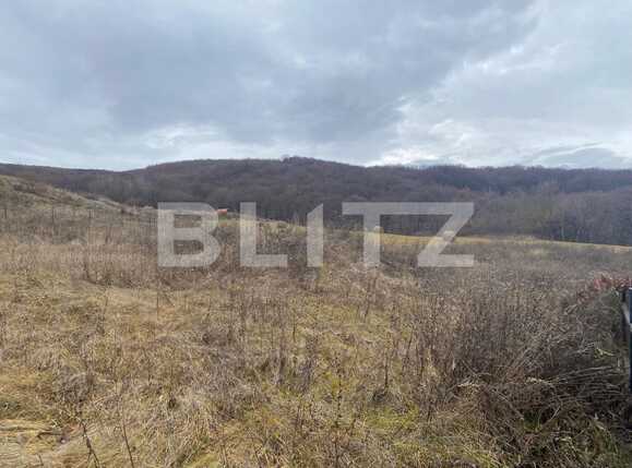 Teren de vânzare Popesti - 77029TV | BLITZ Cluj-Napoca | Poza7