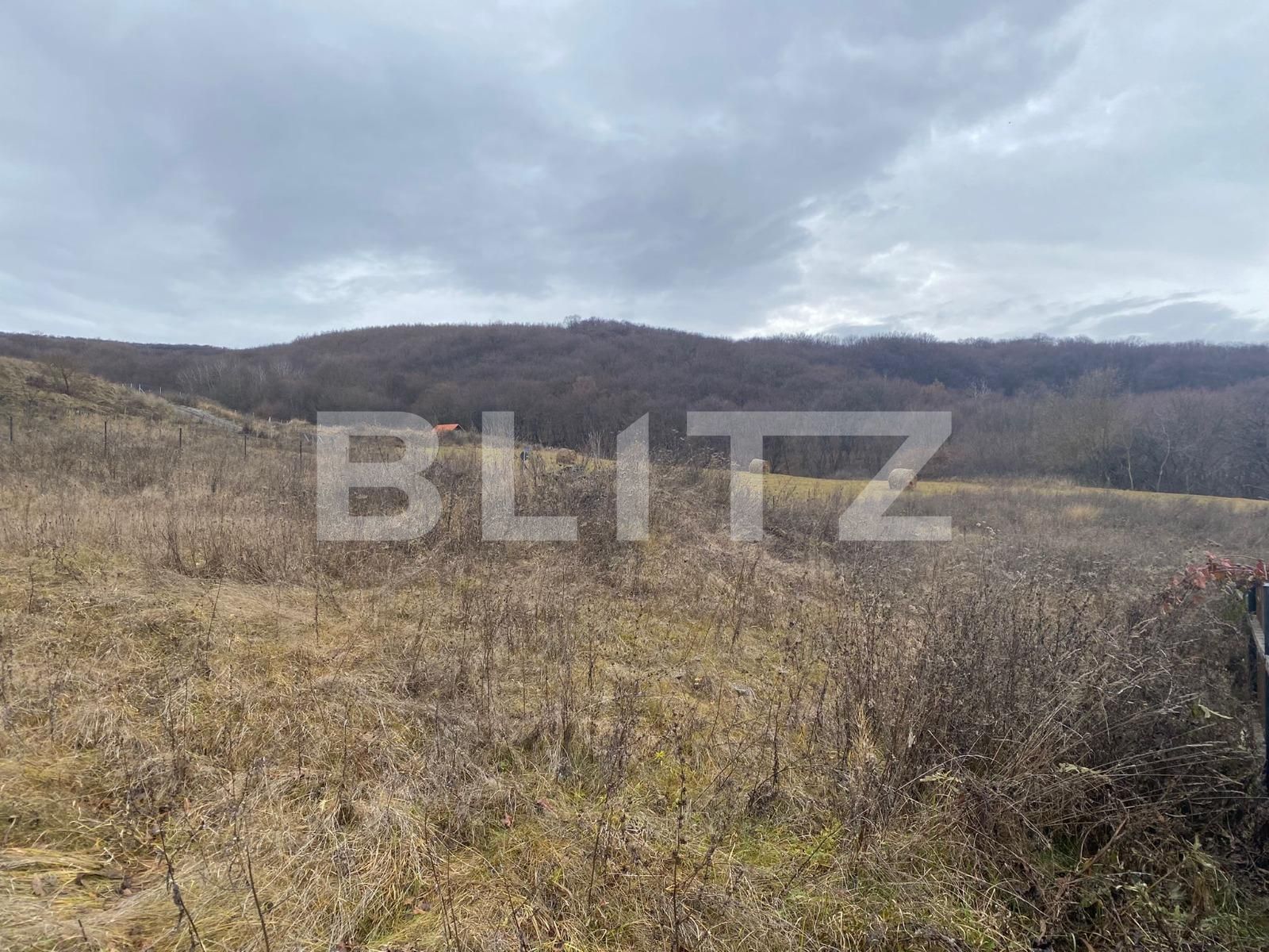 Teren de vânzare Popesti - 77029TV | BLITZ Cluj-Napoca | Poza7