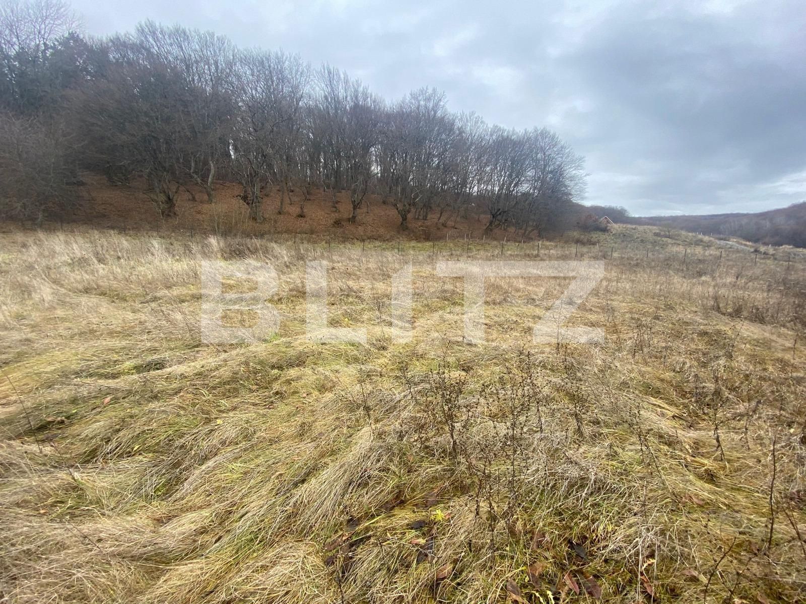 Teren de vânzare Popesti - 77029TV | BLITZ Cluj-Napoca | Poza6