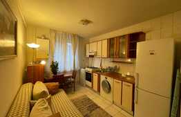 Garsoniera decomandata, 30 mp, zona strazii Primaverii