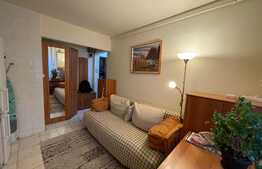 Garsoniera decomandata, 30 mp, zona strazii Primaverii