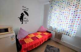 Oportunitate investitie! Garsoniera de 11 mp., zona strazii Primaverii