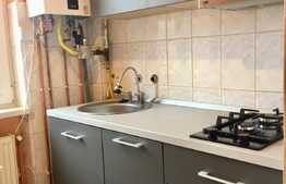 Apartament 2 camere, reabilitat termic, zona strazii Horea