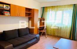 Garsoniera de inchiriat, 21 mp, etaj intermediar, zona Transylvania College