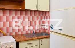 Garsoniera de inchiriat, 21 mp, etaj intermediar, zona Transylvania College