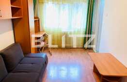 Garsoniera de inchiriat, 21 mp, etaj intermediar, zona Transylvania College