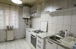 Apartament cu 2 camere, decoamandat, 55 mp, zona strazii Nasaud