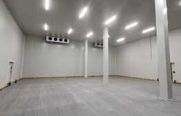 Hala frigorifica - 25 de grade, 600 mp, zona Muncii 