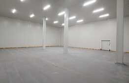 Hala frigorifica - 25 de grade, 600 mp, zona Muncii 