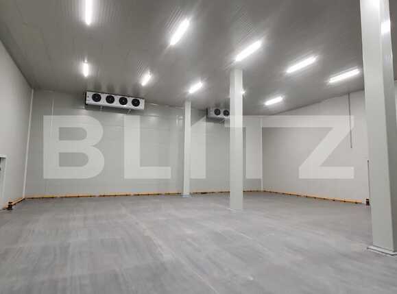 Spațiu industrial de închiriat Iris - 77120SII | BLITZ Cluj-Napoca | Poza1