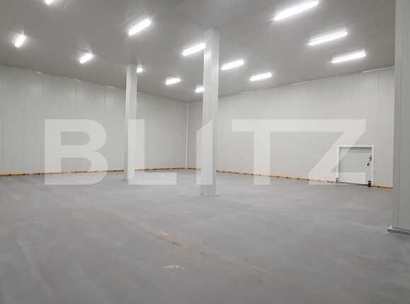 Spațiu industrial de închiriat Iris - 77120SII | BLITZ Cluj-Napoca | Poza2