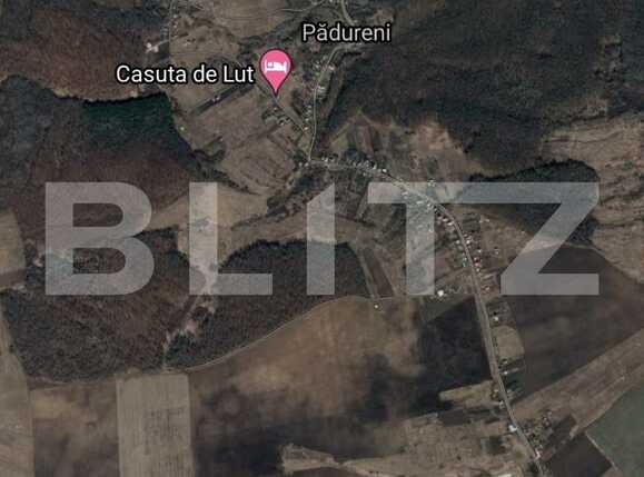 Teren de vânzare Padureni (Chinteni) - 77140TV | BLITZ Cluj-Napoca | Poza1
