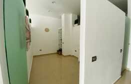 Spatiu comercial in CF, 56 mp, zona Platinia Mall