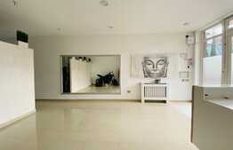 Spatiu comercial in CF, 56 mp, zona Platinia Mall