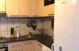 Apartament 2 camere, terasa 35 mp, pet friendly, zona Studium Green