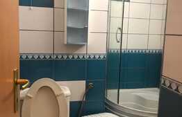 Apartament 2 camere, terasa 35 mp, pet friendly, zona Studium Green