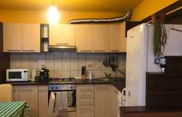 Apartament 2 camere, terasa 35 mp, pet friendly, zona Studium Green