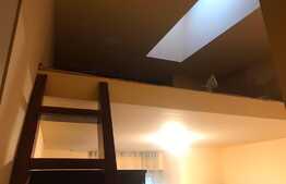 Apartament 2 camere, terasa 35 mp, pet friendly, zona Studium Green