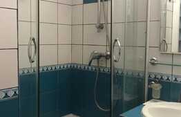 Apartament 2 camere, terasa 35 mp, pet friendly, zona Studium Green