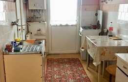 Apartament 2 camere decomandate, 50 mp, zona Taietura Turcului