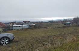 Teren intravilan de 1113 mp in Dambu Rotund