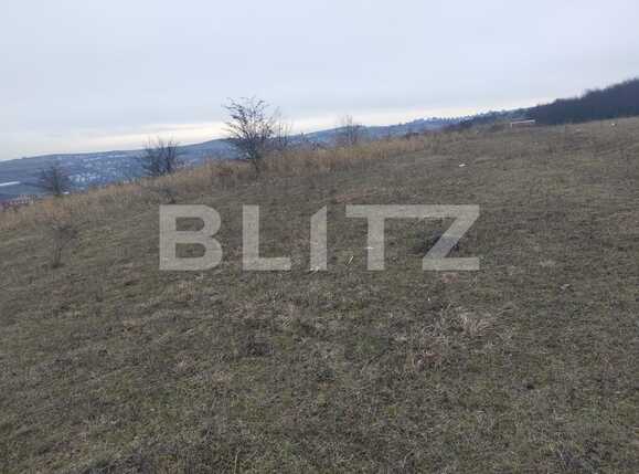 Teren de vânzare Borhanci - 77196TV | BLITZ Cluj-Napoca | Poza1