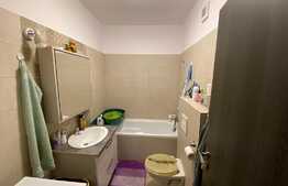 Apartament de 2 camere, 67 mp, Stupini Noi 