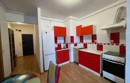 Apartament de 2 camere, recent renovat, parcare, pet friendly, zona strazii Oasului