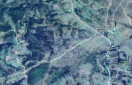 Teren extravilan, 10.000 mp, Belis - Calatele