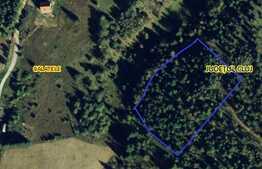 Teren extravilan, 10.000 mp, Belis - Calatele