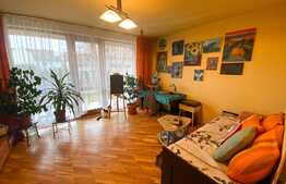 Apartament 2 camere decomandate, terasă, preluare chiriași, zona Piața Engels